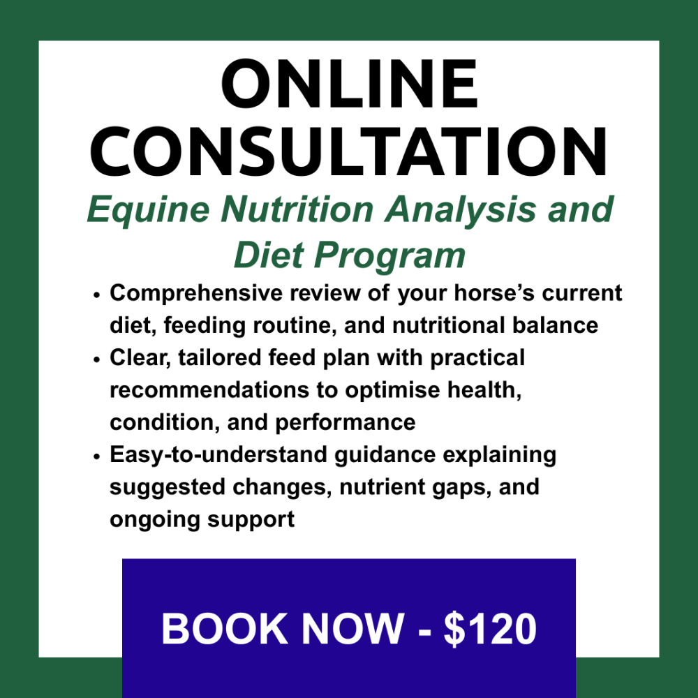 Online Nutrition Consultation